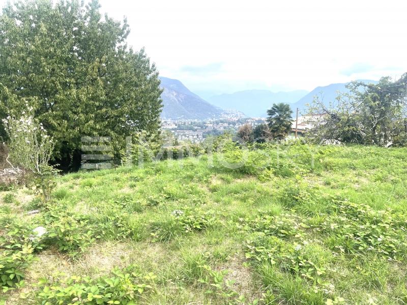 Soleggiamento ottimale - Terrain à bâtir à Pedrinate