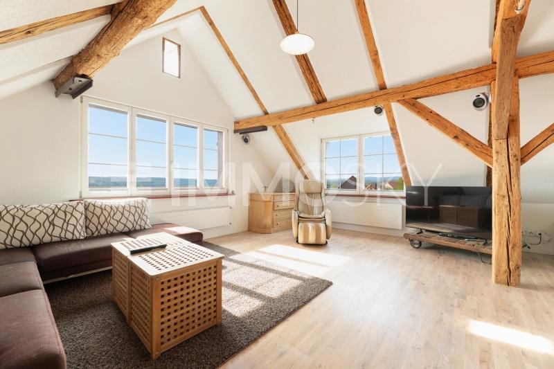Heller, geräumiger Wohnbereich - 5.5 pièces Duplex a Dörflingen