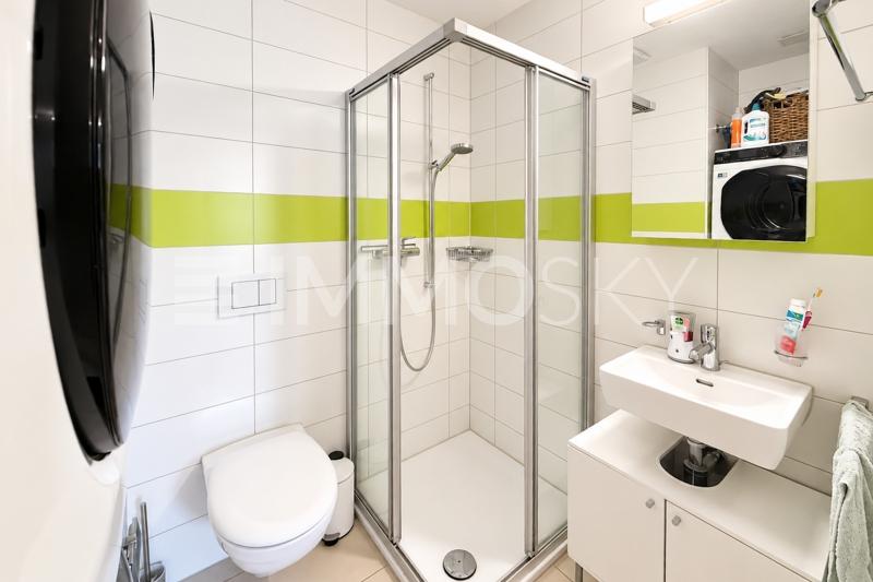 Salle d eau avec douche et colone de lavage - 4.5 stanze Appartamento a Fribourg