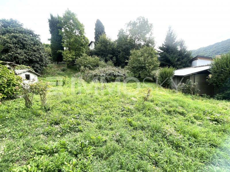 Zona soleggiata - Bauland in Pedrinate