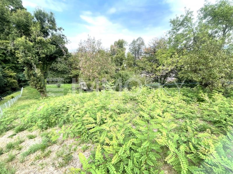 Taglio piante di proprietà autorizzato - Terrain à bâtir à Pedrinate
