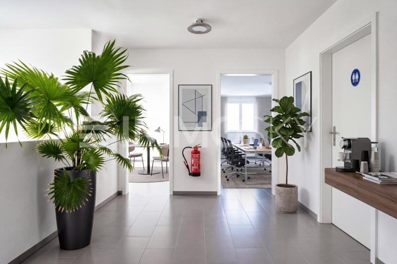 Professionell und vielseitig nutzbare Räume - 2 Zimmer Büro in Safenwil