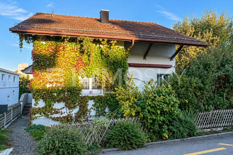 Hier entsteht Ihr ganz persönliches Traumzuhause - 5.5 pièces Maison a Brittnau