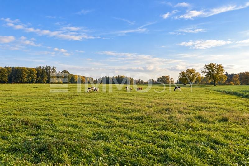 Environnement ressourçant - 2.5 pièces Appartement en attique a Sugnens