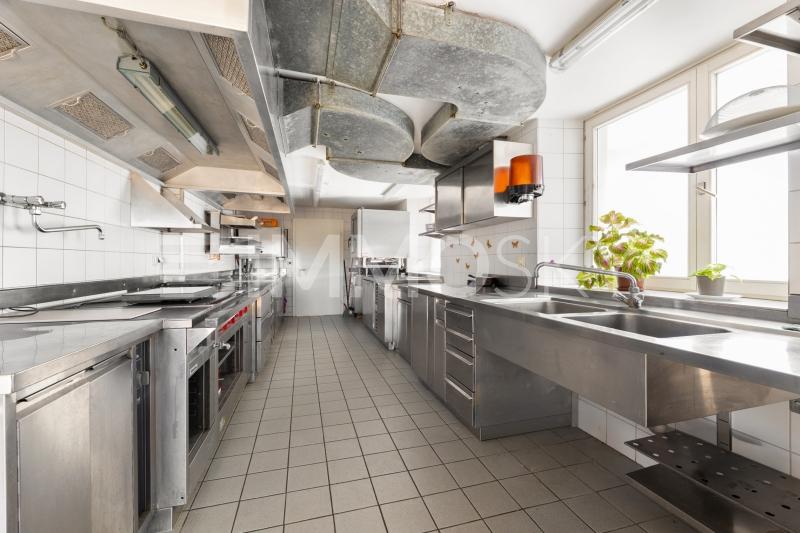 Professionelle Industrieküche - 14 Zimmer Mehrfamilienhaus in Guntmadingen