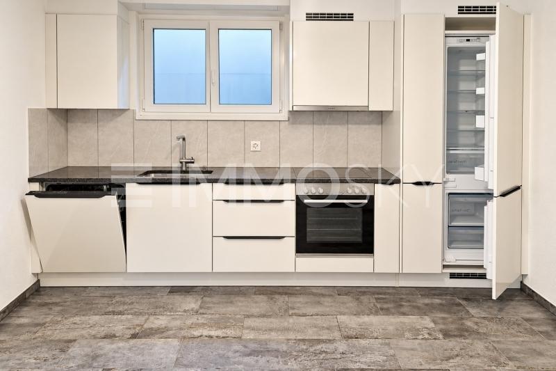 Moderne Küche mit offenen Geräten - 2 pièces Appartement a Grenchen