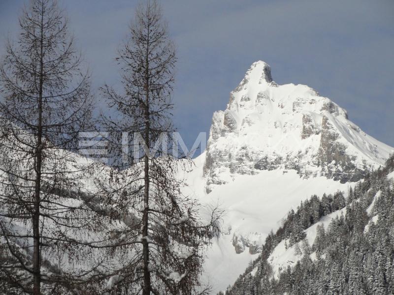 Vue Pt Muveran - Terrain à Ovronnaz
